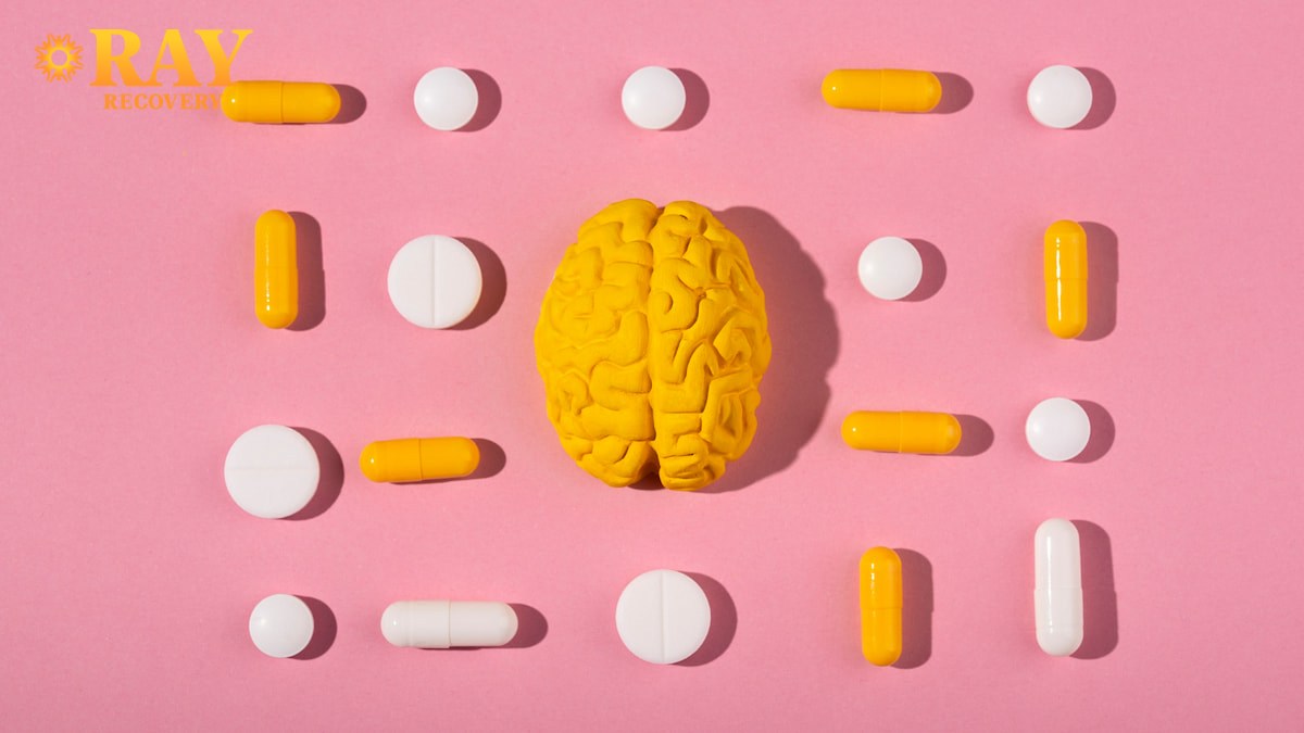 drugs on brain